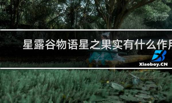 星露谷物语星之果实有什么作用
