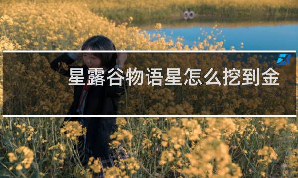 星露谷物语星怎么挖到金