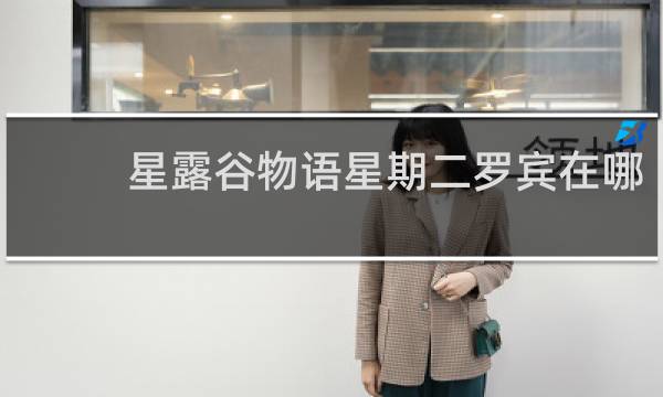 星露谷物语星期二罗宾在哪