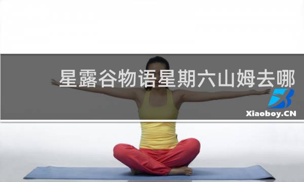 星露谷物语星期六山姆去哪