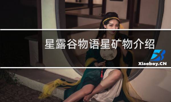 星露谷物语星矿物介绍