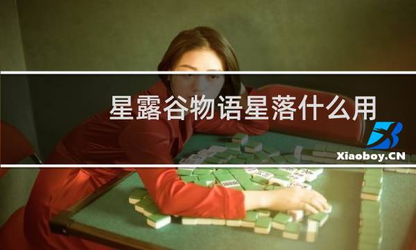 星露谷物语星落什么用