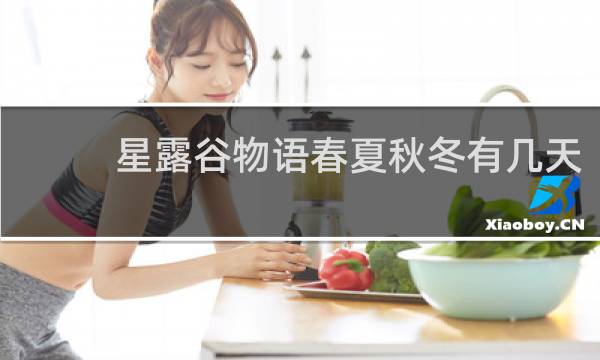 星露谷物语春夏秋冬有几天