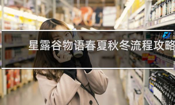 星露谷物语春夏秋冬流程攻略