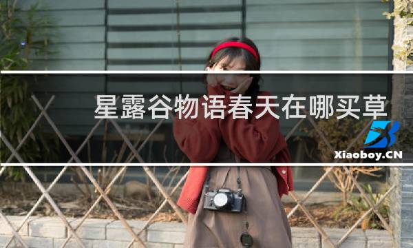 星露谷物语春天在哪买草