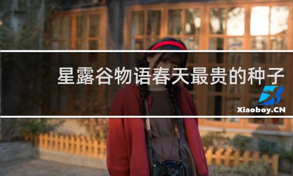 星露谷物语春天最贵的种子