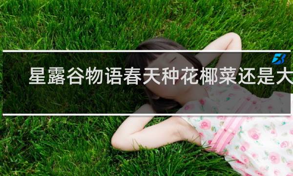星露谷物语春天种花椰菜还是大黄