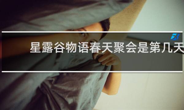 星露谷物语春天聚会是第几天