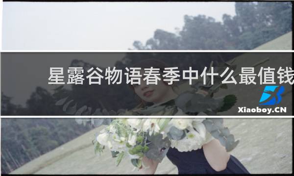 星露谷物语春季中什么最值钱