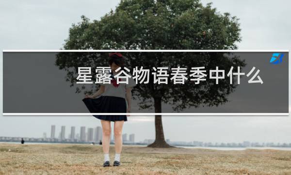 星露谷物语春季中什么