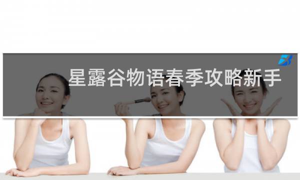 星露谷物语春季攻略新手