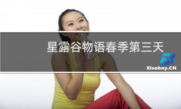 星露谷物语春季第三天