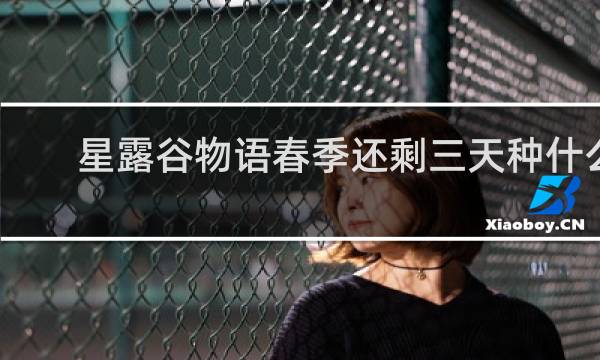 星露谷物语春季还剩三天种什么