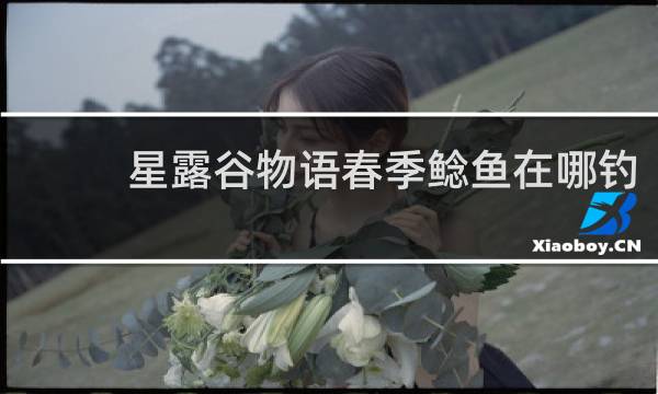 星露谷物语春季鲶鱼在哪钓