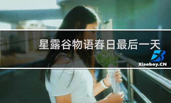星露谷物语春日最后一天