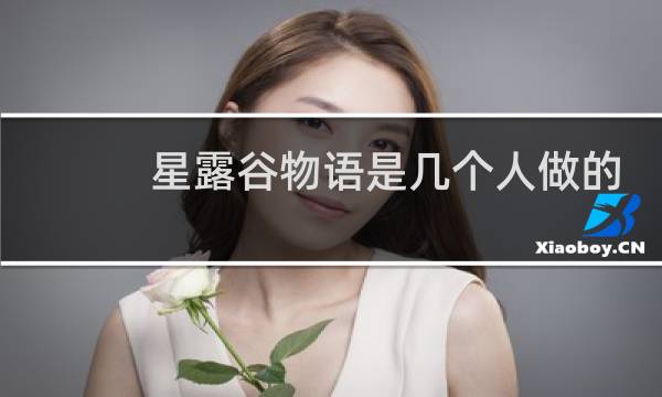 星露谷物语是几个人做的
