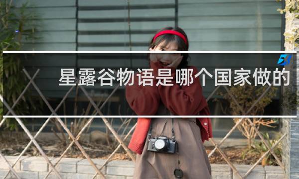 星露谷物语是哪个国家做的
