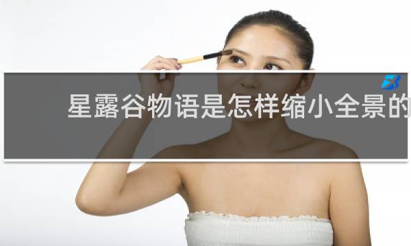 星露谷物语是怎样缩小全景的