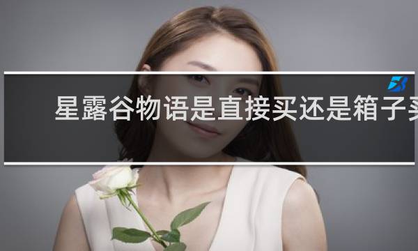 星露谷物语是直接买还是箱子买