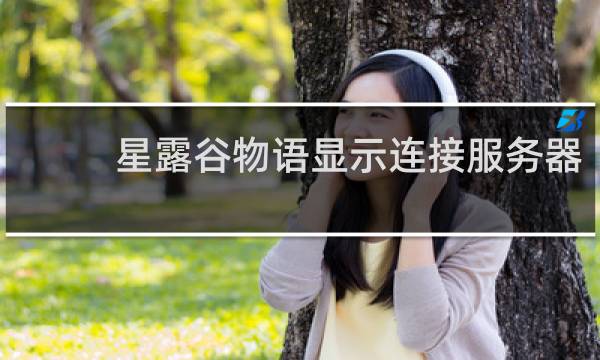 星露谷物语显示连接服务器