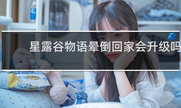 星露谷物语晕倒回家会升级吗