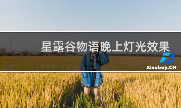 星露谷物语晚上灯光效果