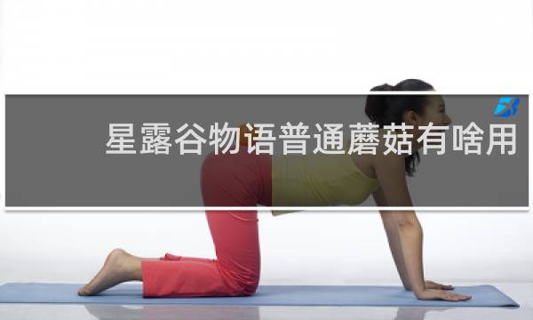 星露谷物语普通蘑菇有啥用