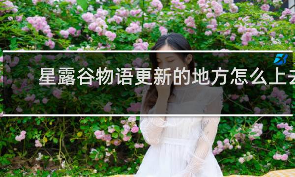 星露谷物语更新的地方怎么上去