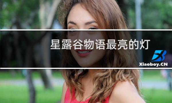 星露谷物语最亮的灯