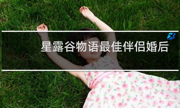星露谷物语最佳伴侣婚后