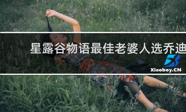 星露谷物语最佳老婆人选乔迪