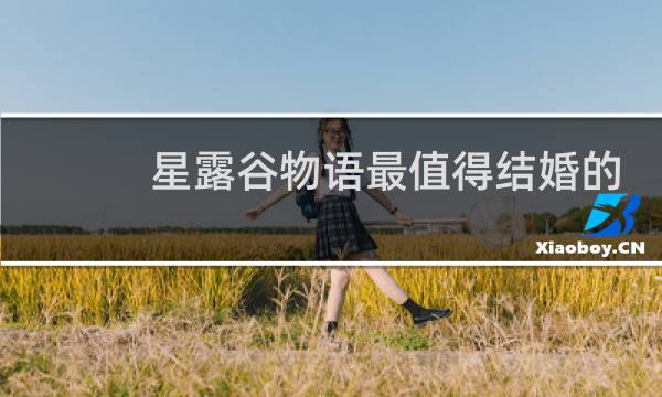 星露谷物语最值得结婚的