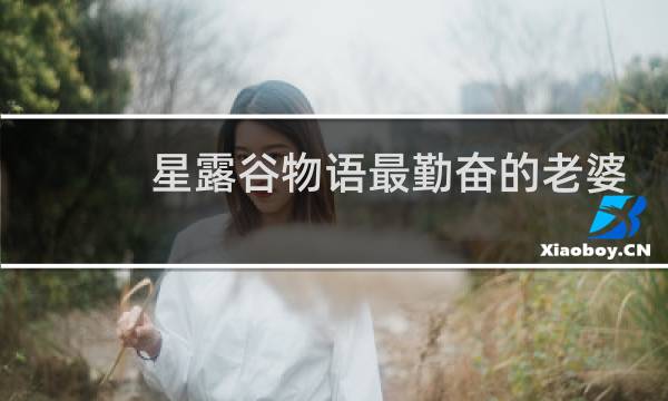星露谷物语最勤奋的老婆