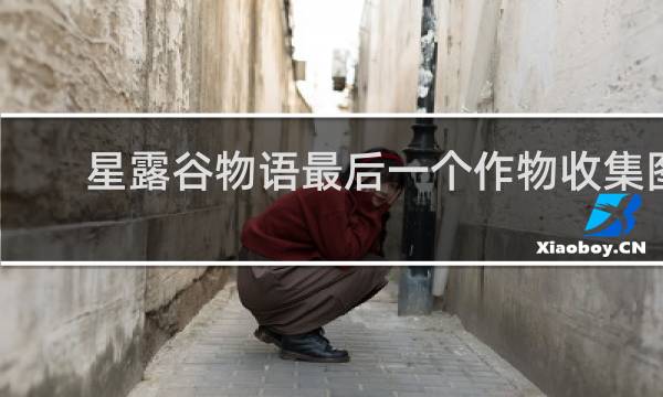 星露谷物语最后一个作物收集图