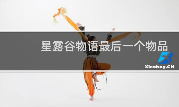 星露谷物语最后一个物品