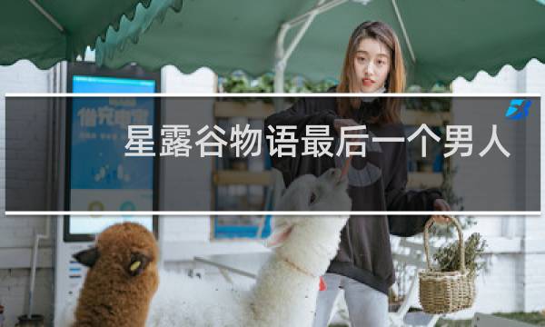 星露谷物语最后一个男人