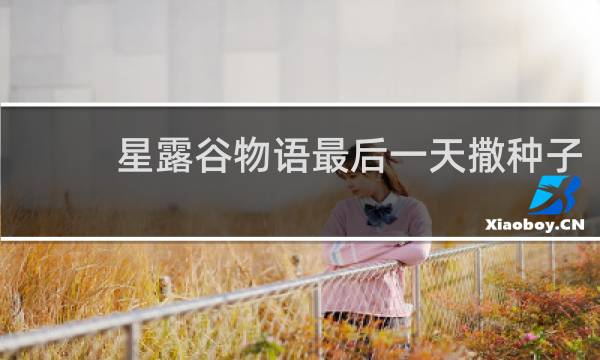 星露谷物语最后一天撒种子