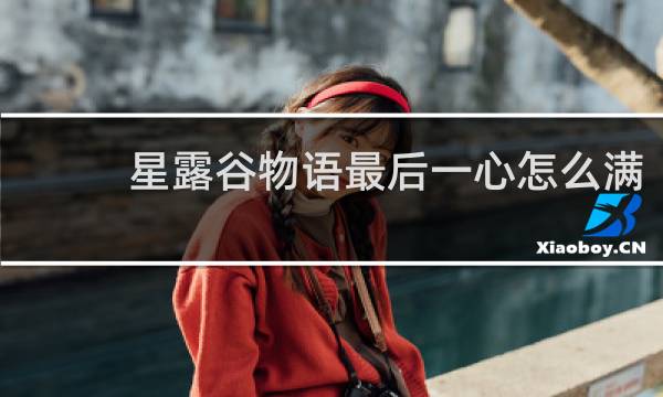 星露谷物语最后一心怎么满