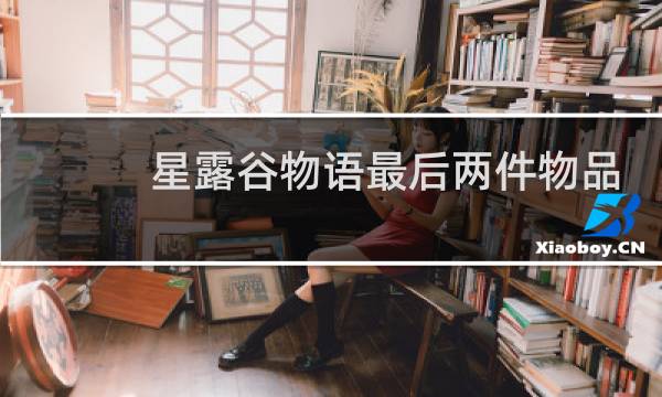 星露谷物语最后两件物品