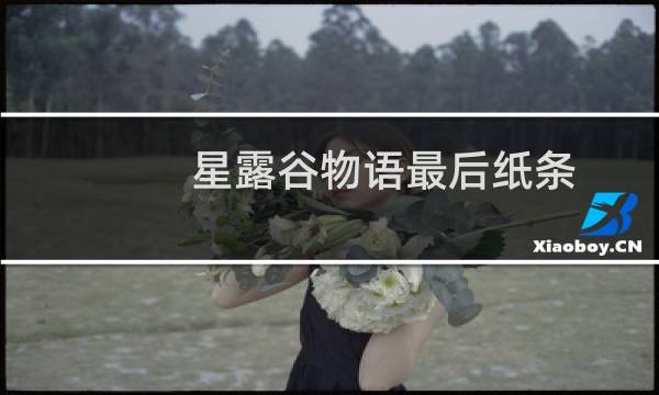星露谷物语最后纸条