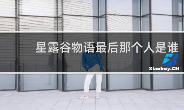 星露谷物语最后那个人是谁
