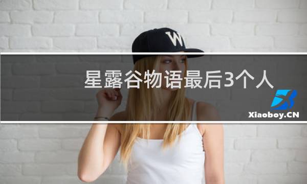 星露谷物语最后3个人