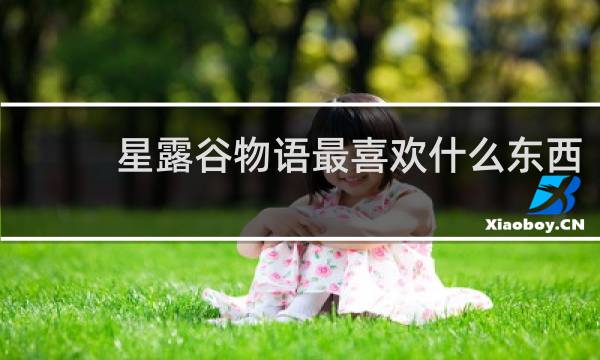 星露谷物语最喜欢什么东西