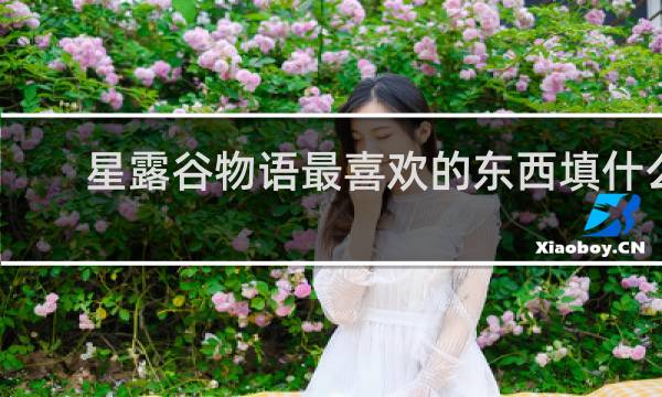 星露谷物语最喜欢的东西填什么