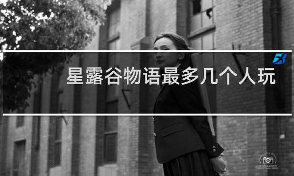 星露谷物语最多几个人玩