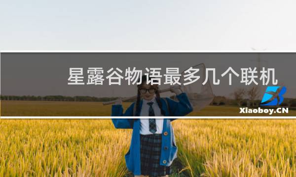 星露谷物语最多几个联机