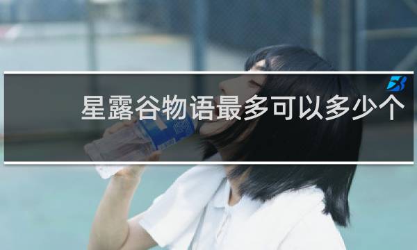 星露谷物语最多可以多少个