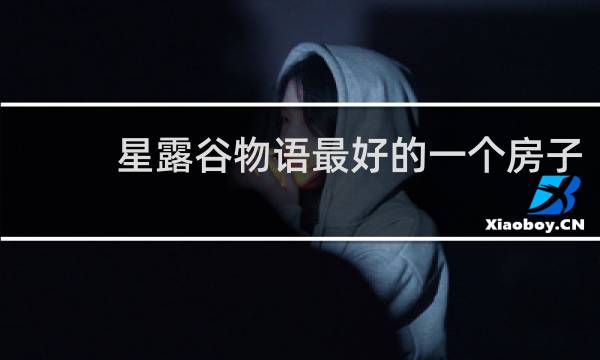 星露谷物语最好的一个房子