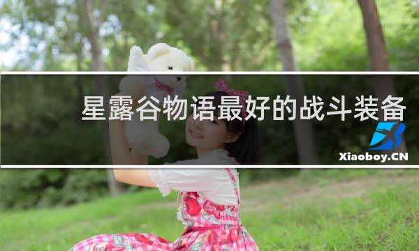 星露谷物语最好的战斗装备