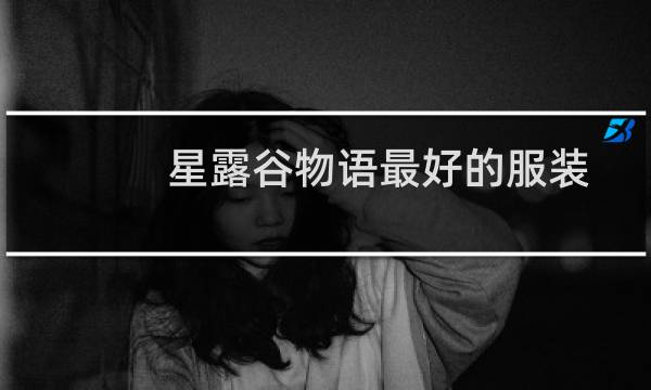 星露谷物语最好的服装